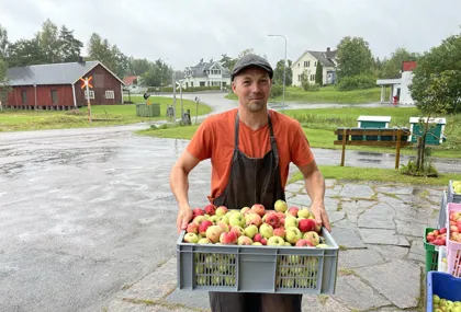 Bild som illustrerar Äppelmusteriet