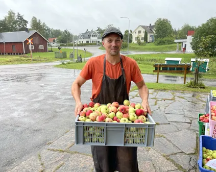 Bild som illustrerar Äppelmusteriet1