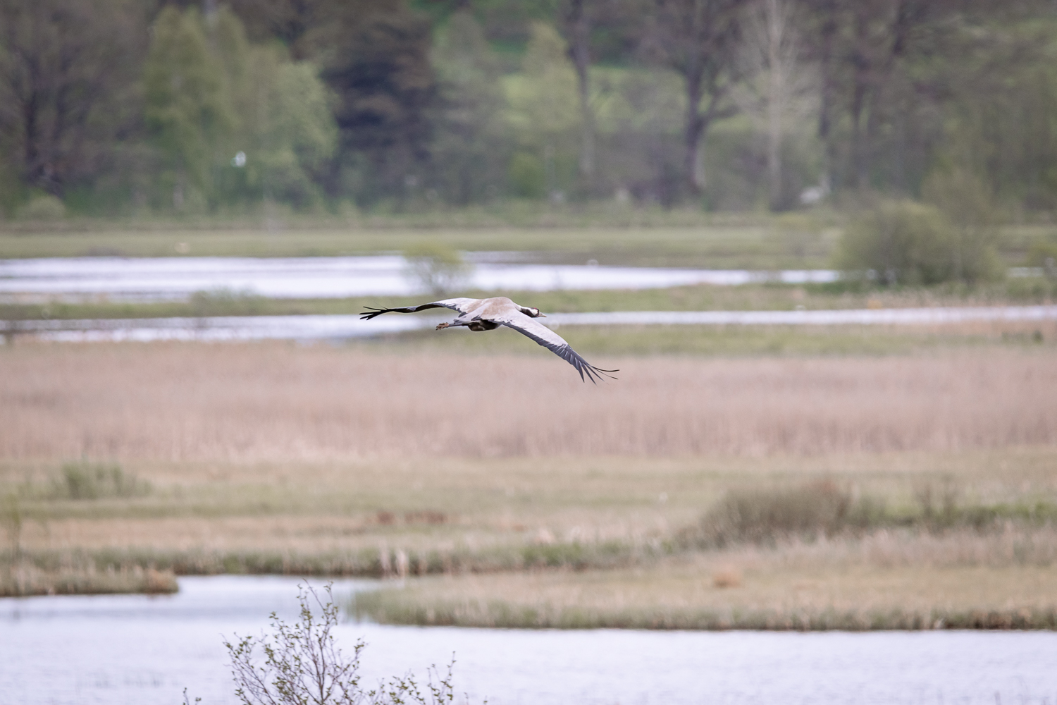 Bild som illustrerar Img 5900