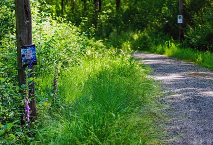 X-rundan - Vandra och Quiza