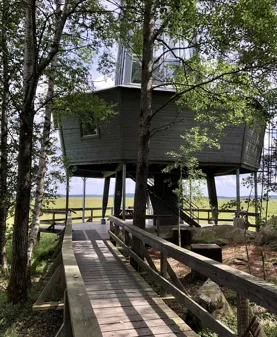 Image illustrating Store Mosse Nationalpark1 Sven Hedlund