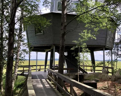 Bild som illustrerar Store Mosse Nationalpark1 Sven Hedlund