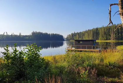 Enjoy the crackling colors of nature from a warm sauna