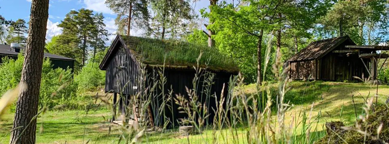 Image illustrating Burseryds Hembygdspark