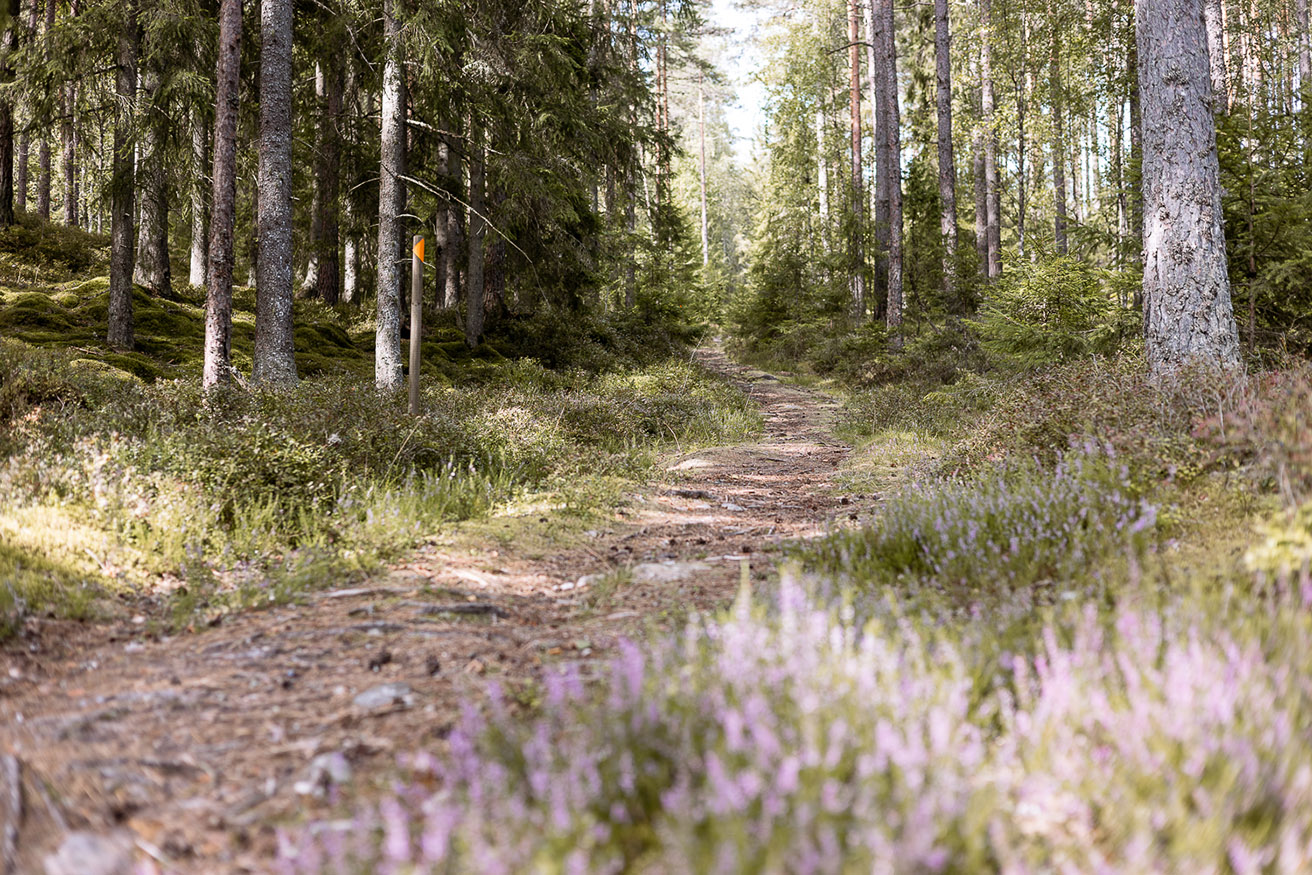 Bild som illustrerar IMG 4020 Kopiera