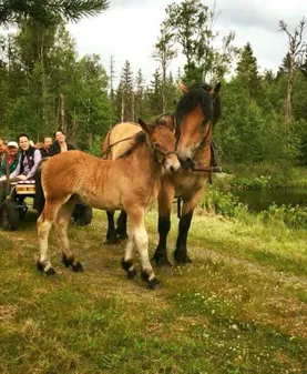 Image illustrating 245646851 2208905622585380 3173584723784504775 N