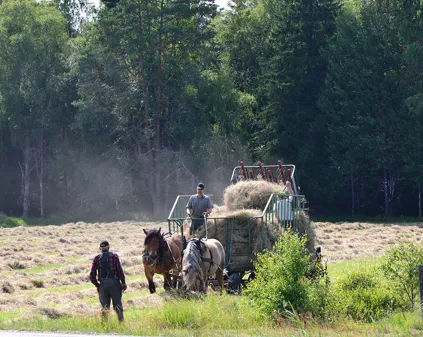 Image illustrating Gislavedsleden Boende (4)