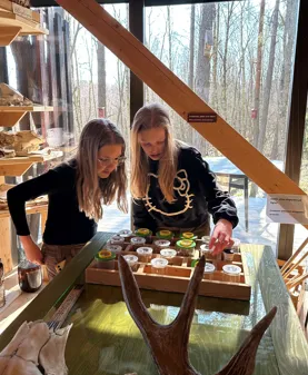 Image illustrating Storemosseutställning