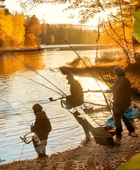 Bild som illustrerar Fiske Ute På Hösten