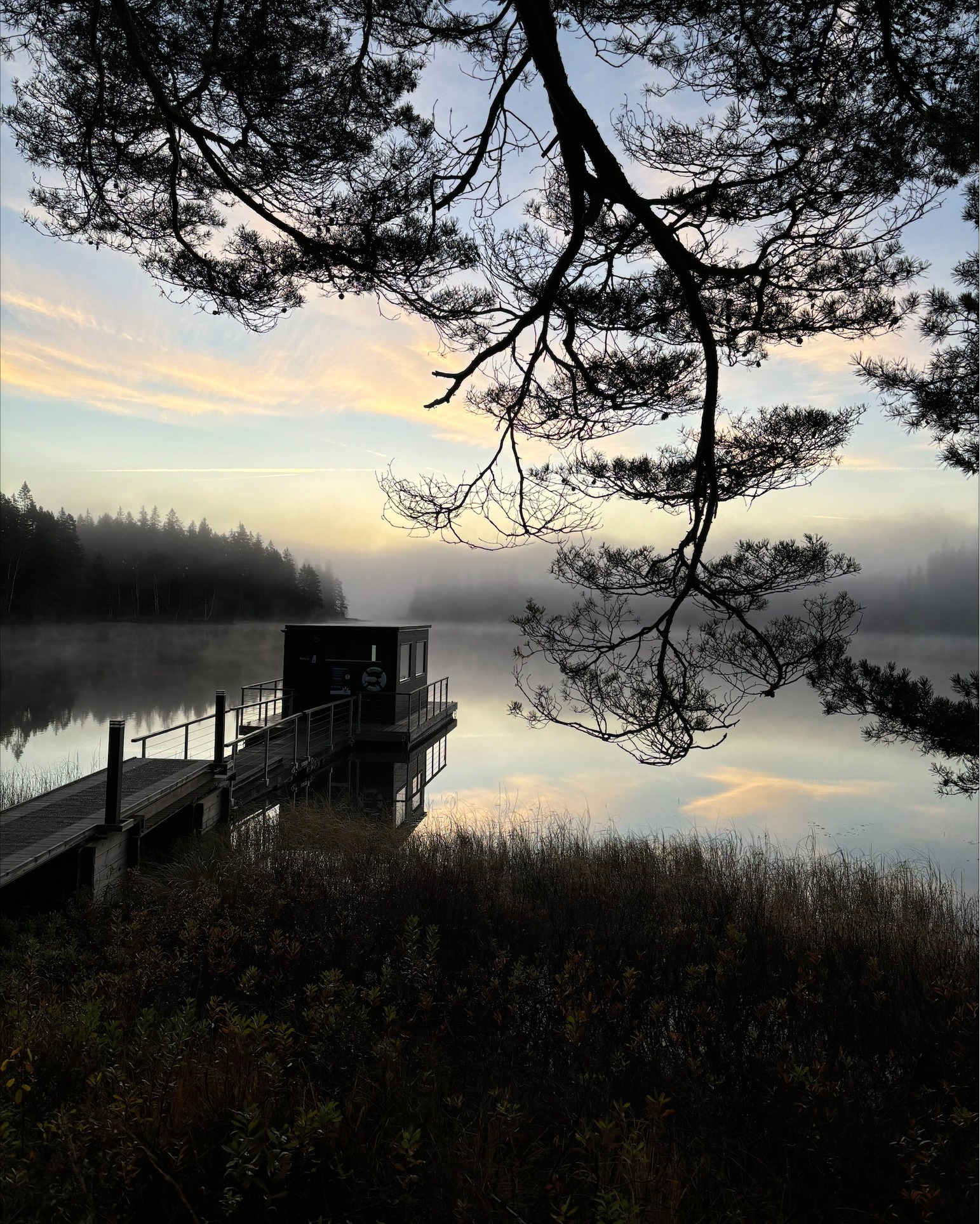 Bild som illustrerar Bastuflotte