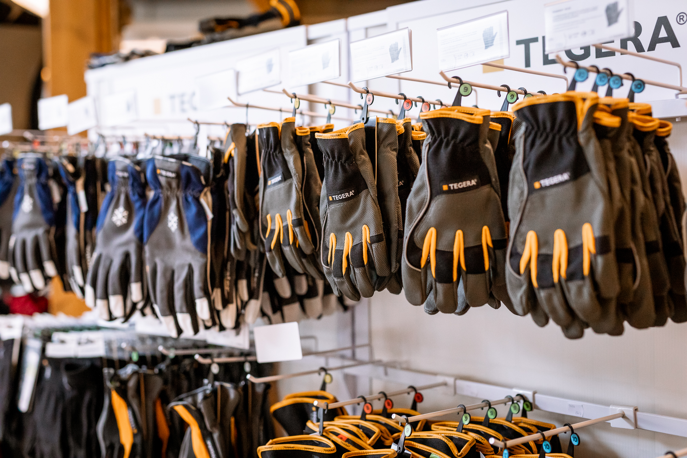 Bild som illustrerar Lopus Anderstorp (7)