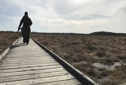 Vandra på Store Mosse