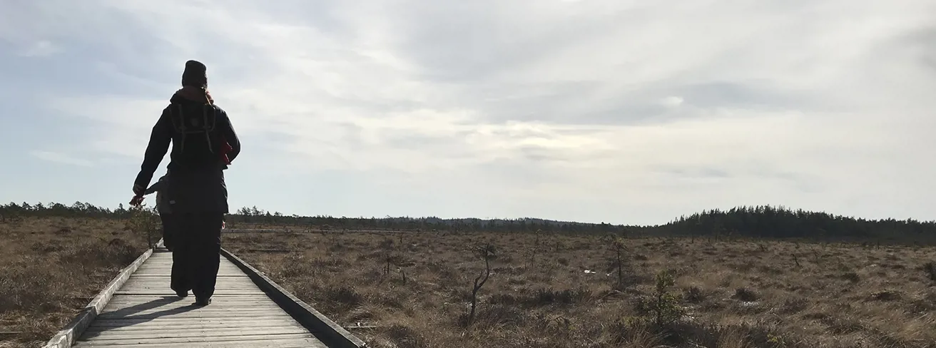 Vandra på Store Mosse