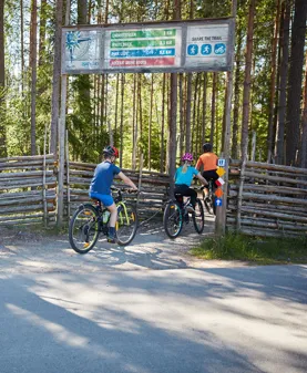 Image illustrating Isaberg MTB