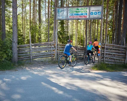 Bild som illustrerar Isaberg MTB