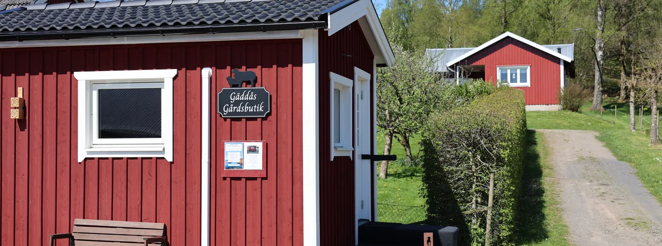 Bild som illustrerar IMG 2669