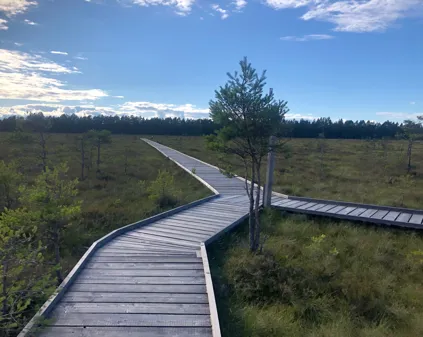 Bild som illustrerar Vid Svartgölen 1