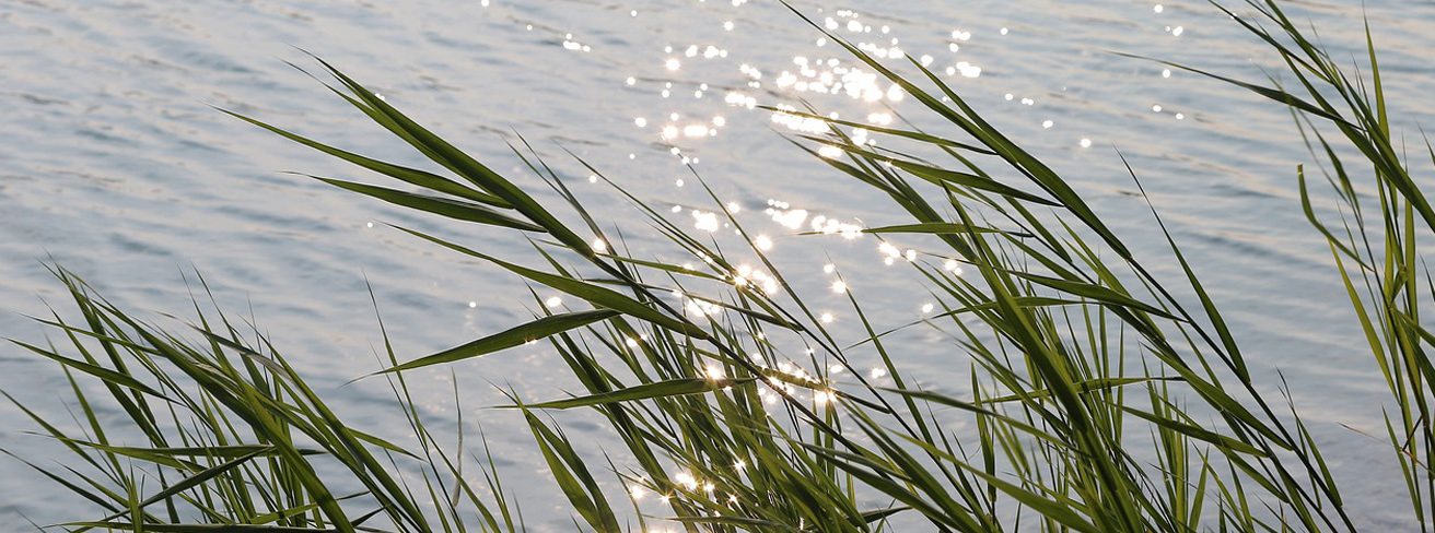 sol-vind-och-vatten.jpg
