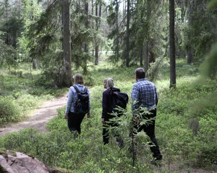 Bild som illustrerar Vandring CJ 246