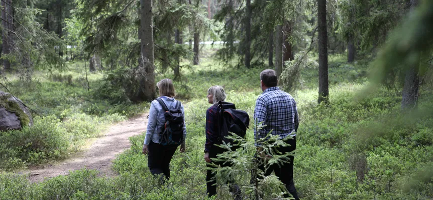 Image illustrating Vandring CJ 246