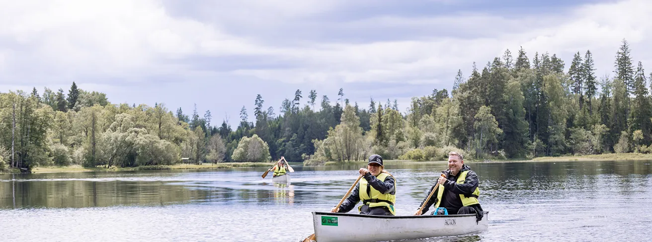 Image illustrating IMG 3772 Kopiera