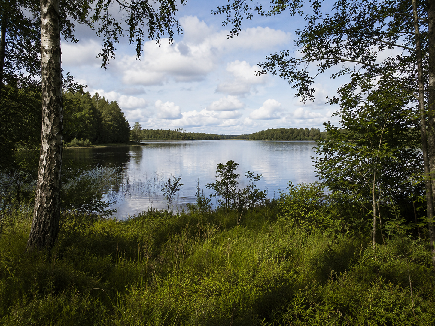 Bild som illustrerar Berättelsen om Fornbolmen