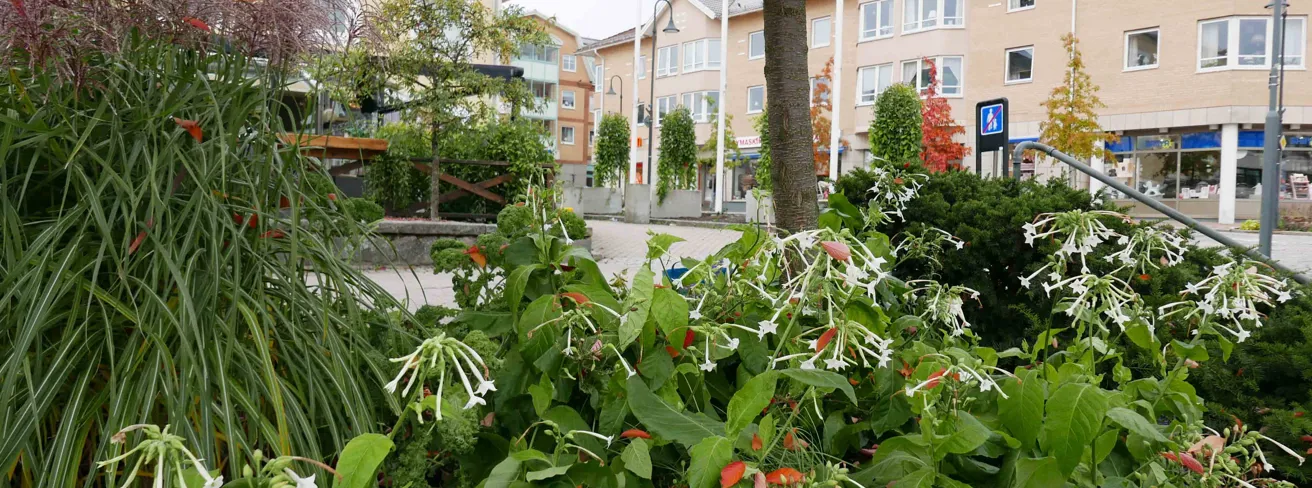 Image illustrating Shoppa Gislaved