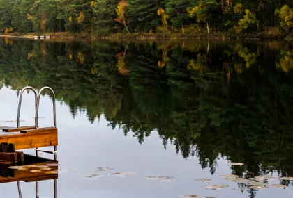 Höst för livsnjutare