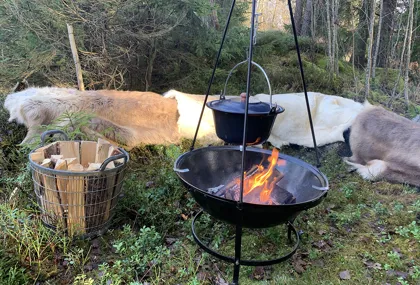 Vandra och lev vildmarksliv på Gislavedsleden