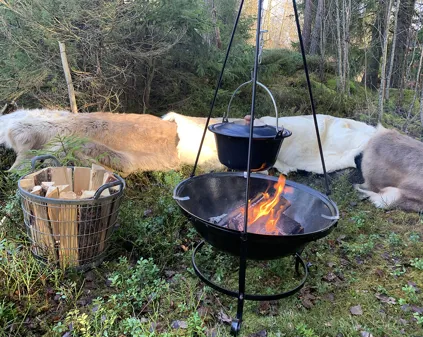 Vandra och lev vildmarksliv på Gislavedsleden