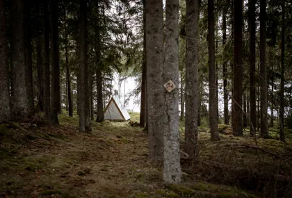 Happie Camp Ängasjö