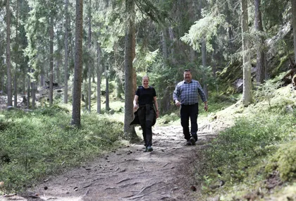 Vandringsleder runt Isaberg