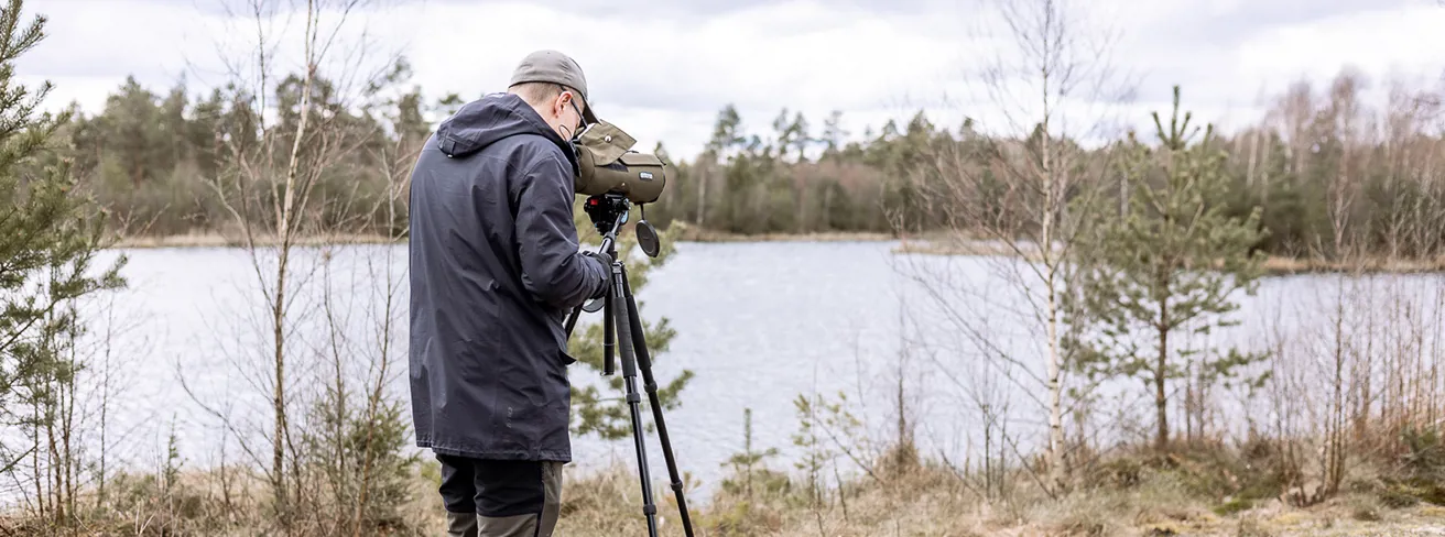 Image illustrating Fågelskådning Rastadammarna (10) Header