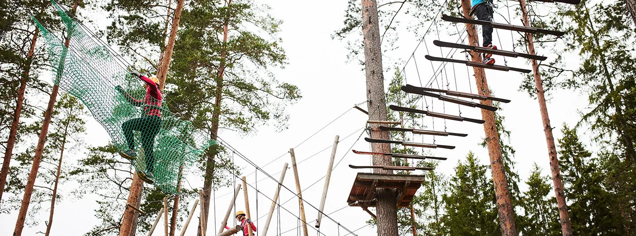 Bild som illustrerar Hoghojdsbana1