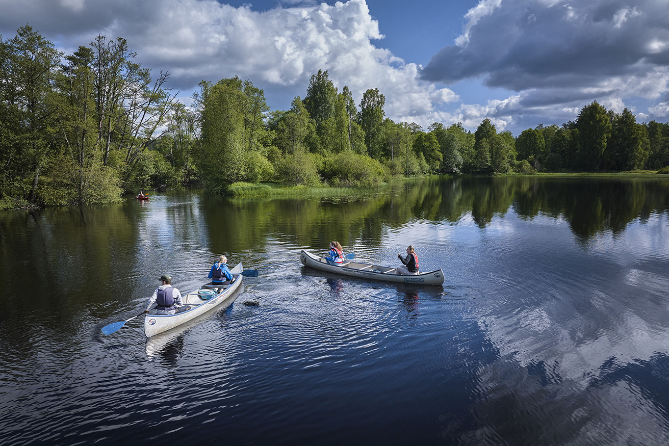 Image illustrating Paddling 240618 239 LU
