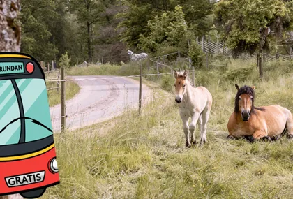 Följ med på Gårdsrundan