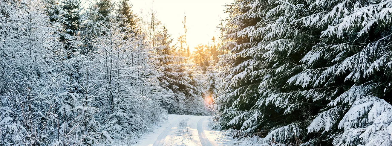 Image illustrating Vinter6 Kopiera