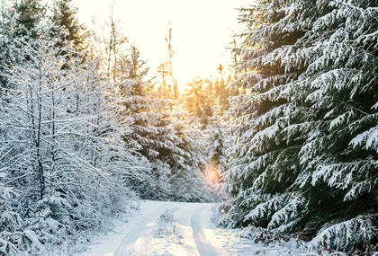 Bild som illustrerar Vinteraktiviteter