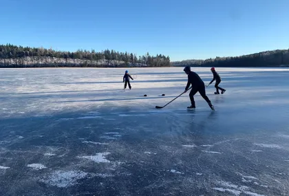Go ice skating