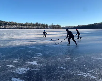 Bild som illustrerar Skridskor4