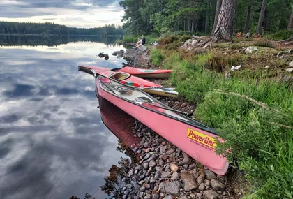 Hösttips för naturälskaren