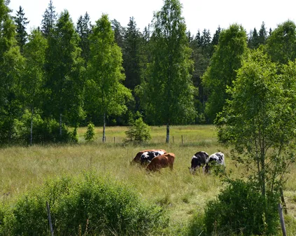 Image illustrating Gislavedsleden Boende