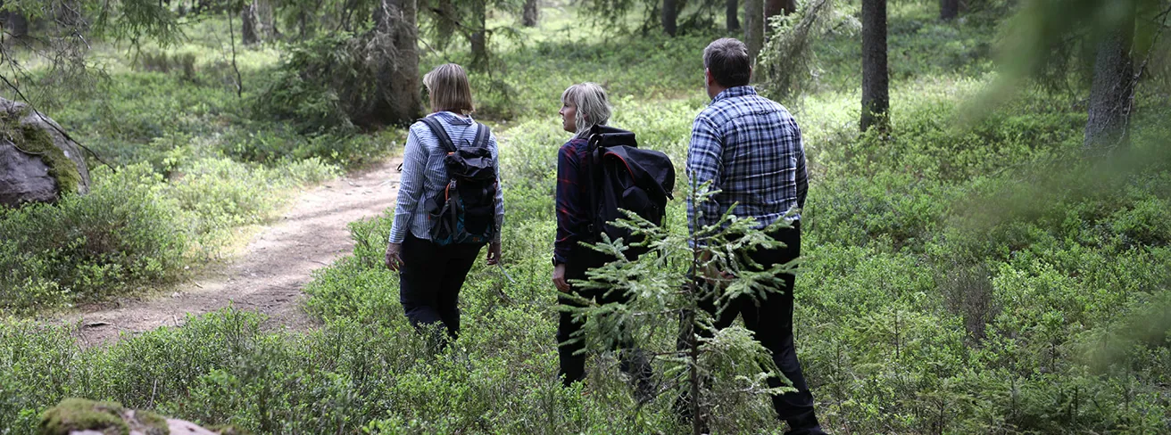 Vandra i Isabergsregionen