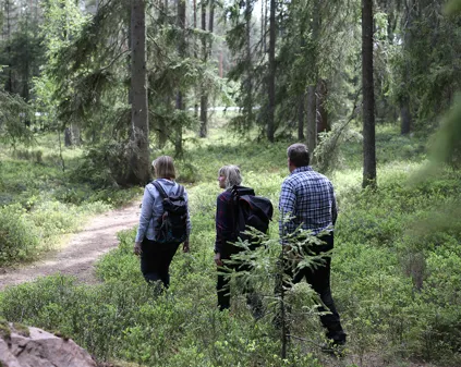 Vandra i Isabergsregionen